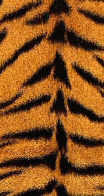 بک اسکین چاپی برجسته سری A کد SJP100344