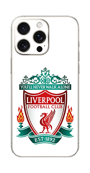 بک اسکین پس زمینه شفاف (شیشه ای) پرولایف کد100815